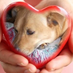 Meet your Posher, Janice